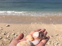 -三亚西岛海洋文化旅游区