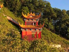 -东莞市大岭山森林公园