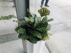 -深圳悦如酒店(香蜜公园车公庙地铁站店)