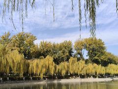-中国农业博物馆