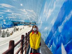 -世界之窗阿尔卑斯冰雪世界