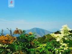 -云顶山风景区