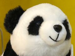 -TOYSRUS玩具反斗城(苏州中心店)