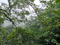 -井冈山风景名胜区