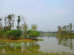 -白鹭湾湿地公园