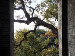 -江心屿景区