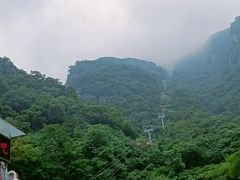 -牛背梁国家森林公园