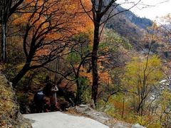 -叠溪松坪沟景区
