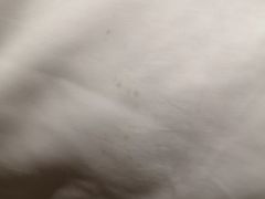 -惠州金海湾嘉华度假酒店