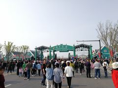 -荷兰花海
