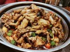 -蛙小侠(卓悦里店)