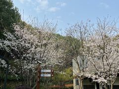 -临平公园(临平街道)
