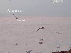 -栈桥景区