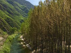 -乌龙峡谷景区