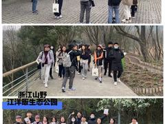-西湖风景区-江洋畈生态公园