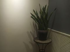 -花马天堂云南餐厅 Lost Heaven(外滩店)
