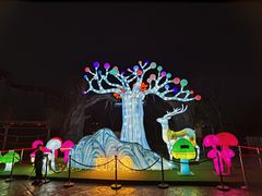 -郑州方特梦幻王国