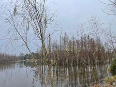 -白鹭湾湿地公园