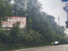 -铁山坪森林公园