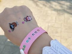 -凤凰欢乐大世界