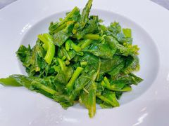 清炒板蓝根-玉华台饭庄·淮扬菜·烤鸭(望京店)