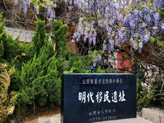 -大槐树寻根祭祖园