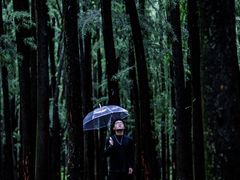 -上海共青森林公园