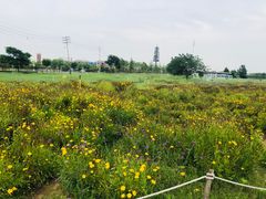 -郑东新区湿地公园