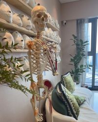 -颜和骨正&明星徒手小颜整骨