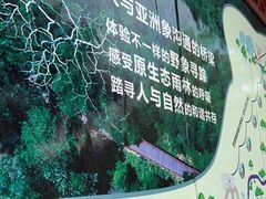 -野象谷景区