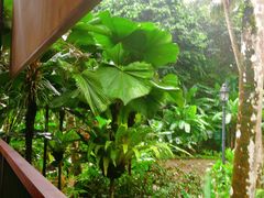 -植物园哈利亚餐厅