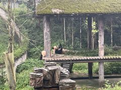 -碧峰峡风景区