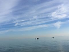 -悦港(悦港酒店)