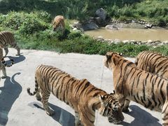 -西安秦岭野生动物园