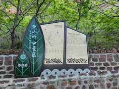 -山叶口景区
