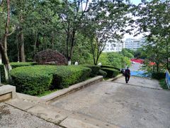 -昆明动物园