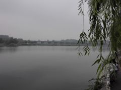 -淇河国家湿地公园