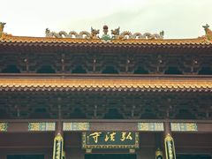 -深圳仙湖植物园