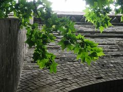 -朱秀英梆梆肉葫芦头(琉璃街店)