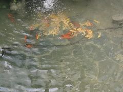 -广富林宰相府酒店·水云间