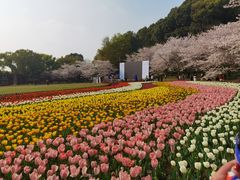 -苏州上方山国家森林公园