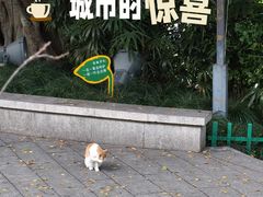 -乌山风景区