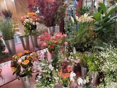 -二酉书店TOYOU BOOKS