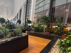 -郑州新郑国际机场-T2航站楼