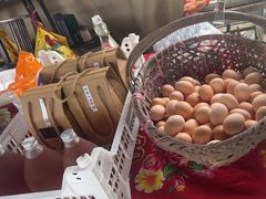 -马陆小张葡萄园农家乐