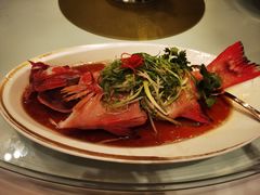 -金轩中餐厅 Jin Xuan(浦东丽思卡尔顿酒店)