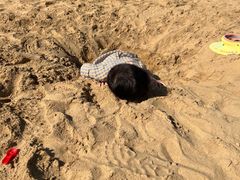 -上海山野camping·户外天幕烧烤·团建拓展营地