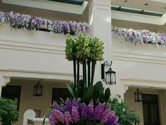 -利顺德大饭店·维多利亚花园(小白楼店)