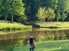 -黄海国家森林公园