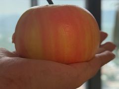 -点心传说·粤菜点心(佐阾虹湾店)